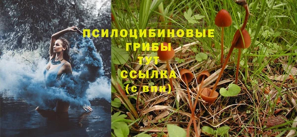винт Абинск