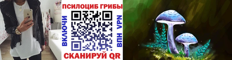 Галлюциногенные грибы Psilocybine cubensis  Серафимович 